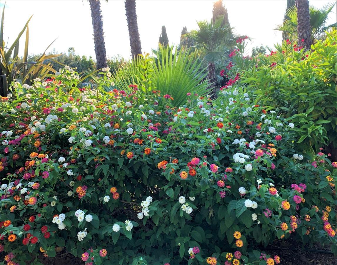 Domaine De L'Aufrene Bed & Breakfast Hyeres Bagian luar foto