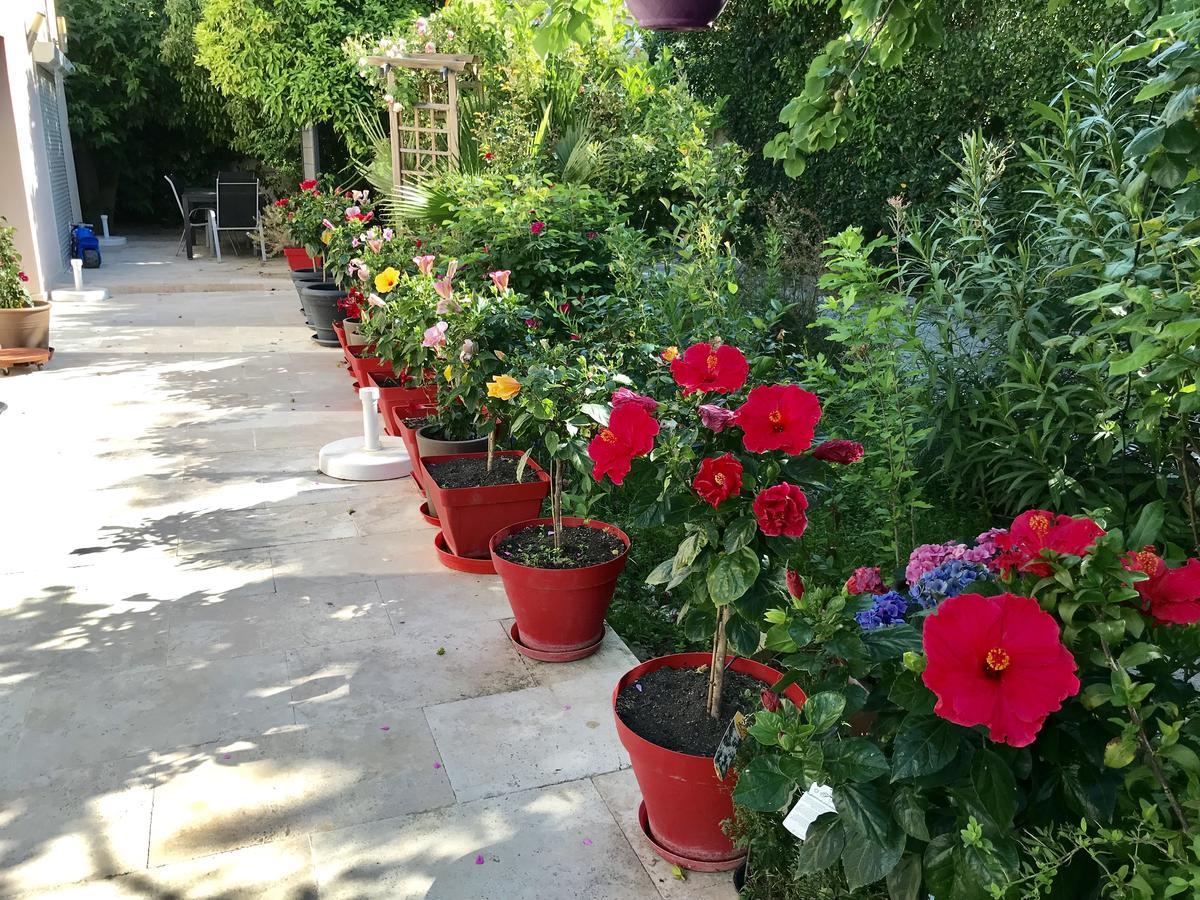 Domaine De L'Aufrene Bed & Breakfast Hyeres Bagian luar foto